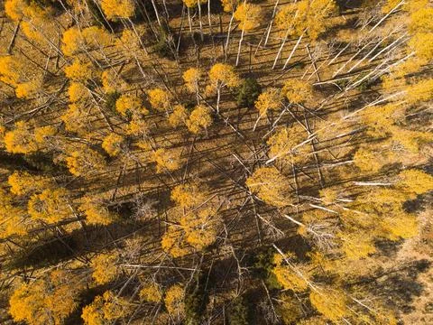 Fall Stock Photos