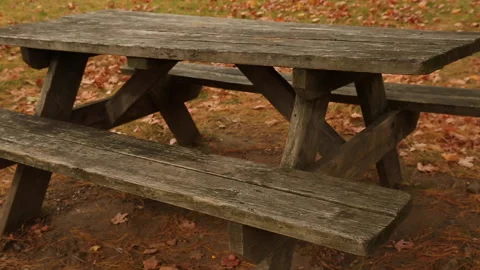 FALL PICNIC TABLE Stock Footage 186716837