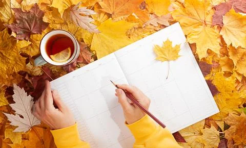 Fall planning the week over a cup of tea Stock Photos