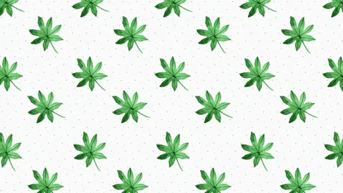 Fall Plant Background Stock Footage 212453006