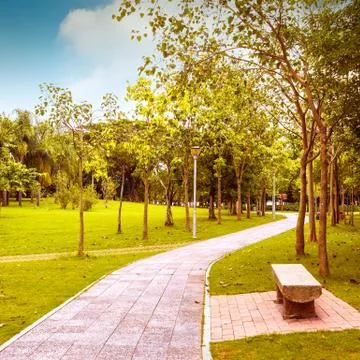 Fall plants Stock Photos