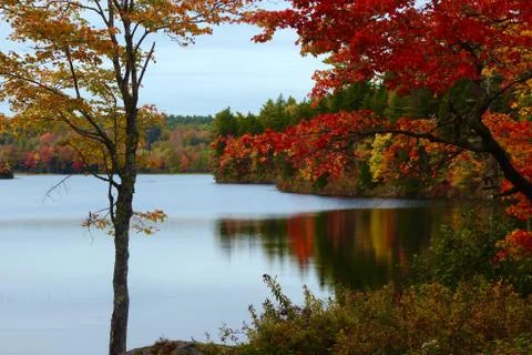 Fall on the pond Stock Photos