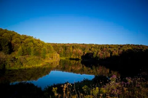Fall Pond Reflection Stock Photos