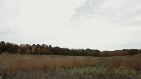 Fall prairie panning shot Stock Footage 12243445