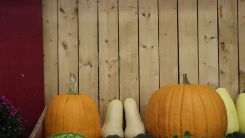 Fall Pumpkin Fence Stock-Footage 136694553