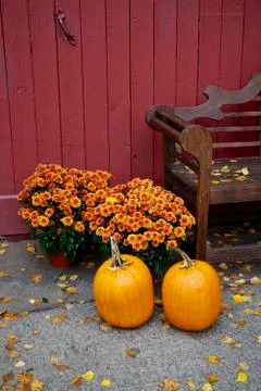 Fall, pumpkin Stock Photos