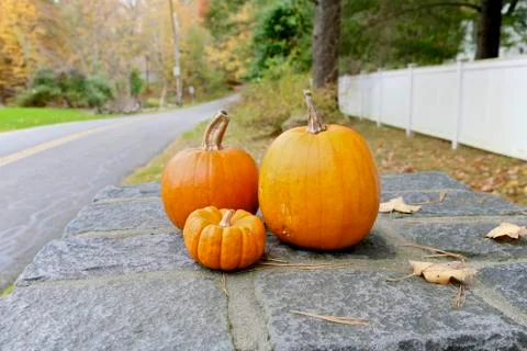 Fall, pumpkin 스톡 사진