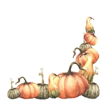 Fall pumpkins corner frame. Autumn harvest Isolated watercolor illustration on Stock Illustration