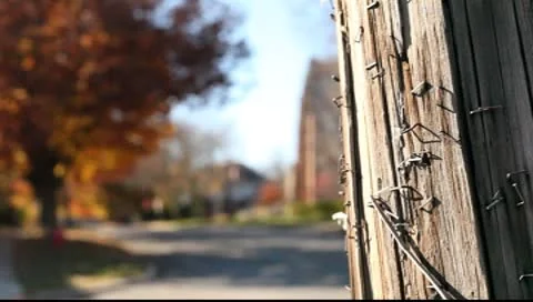 Fall Rack focus on suburban Street Video stock 8954854