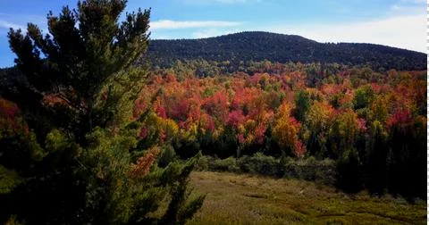Fall rainbow mountain tree forground Foto stock