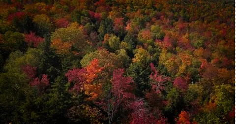 Fall rainbow Foto stock