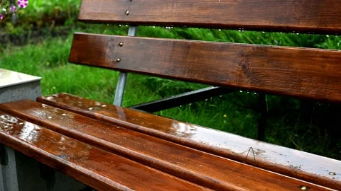 Fall raindrops falling on bench. Autumn weather. Summer rainy day Stock Footage 159241801