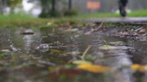 Fall raindrops falling into puddle with leaves, flooding the way. Stock-Footage 139249059