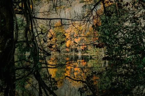 Fall in Ramapo Stock Photos