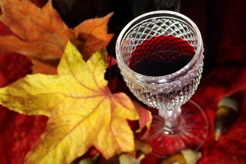 Fall red wine Stock Photos