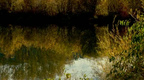 Fall Reflections Stock Footage 10888059