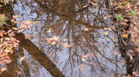 Fall Reflections III Stock Footage 12582265
