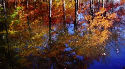 Fall Reflections Loop Stock Footage