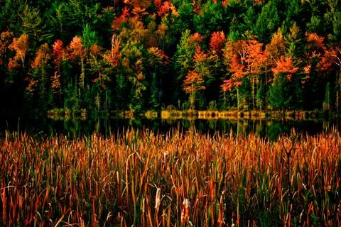 Fall Reflections Stock Photos