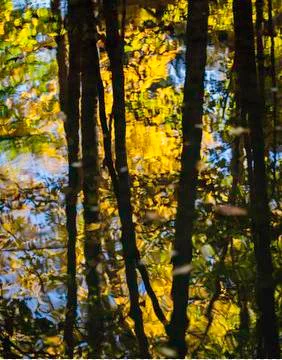Fall Reflections Stock Photos