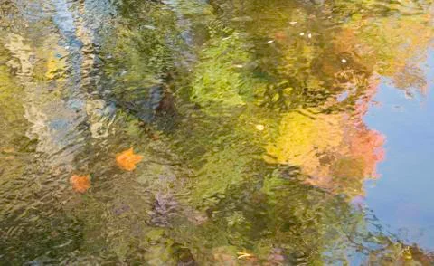 Fall reflections. Stock Photos