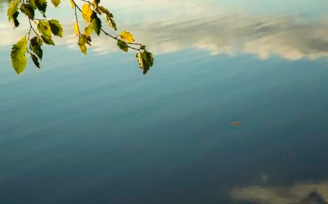 Fall reflections Stock Photos