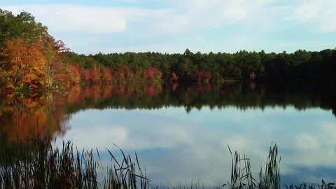 Fall reflections on a pond Stock Footage 76373923