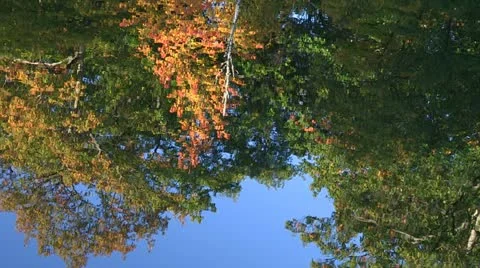 Fall reflections on water Stock Footage 12730594