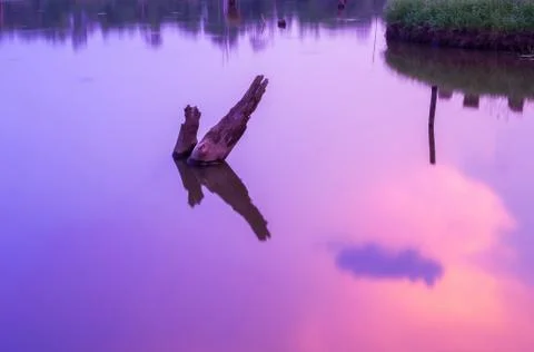 Fall reflections in water Stock Photos