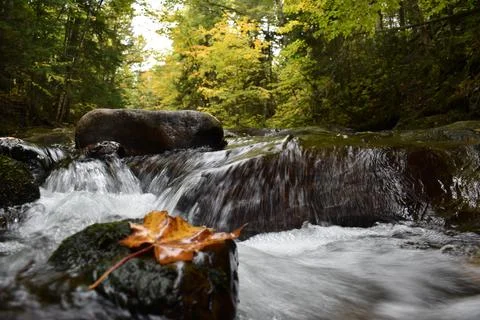 A fall into a river in the fall Stock Photos