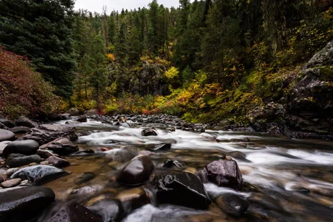 Fall River Flowing Timelapse 스톡 동영상 194518624