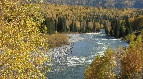 Fall river Vidéo 520851