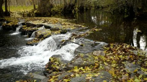 Fall river - rio en otoño 스톡 사진