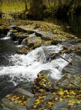 Fall river - rio en otoño Foto stock