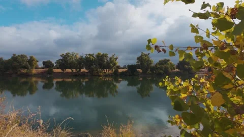 Fall river view with colorful trees and reflections Stock Footage 310702861