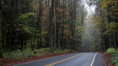 Fall Road 1080 Stock Footage 32014032