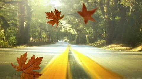 Fall Road with Falling Leaves Vidéo 549368
