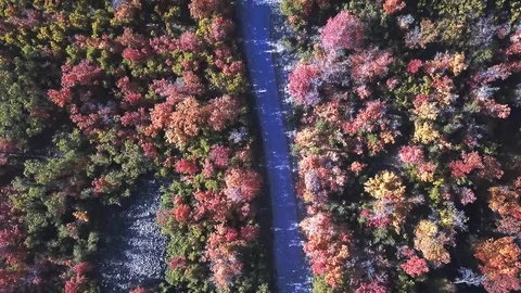 Fall road fly over Stock Footage 91553568