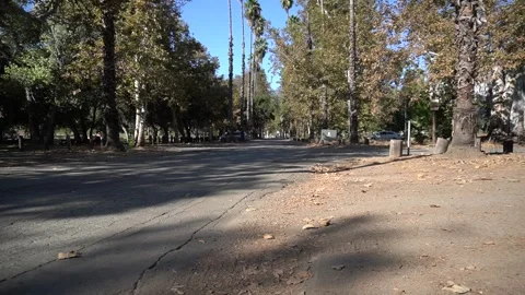 Fall Road Stock Footage 141163521