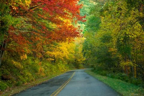Fall Road Stock Photos
