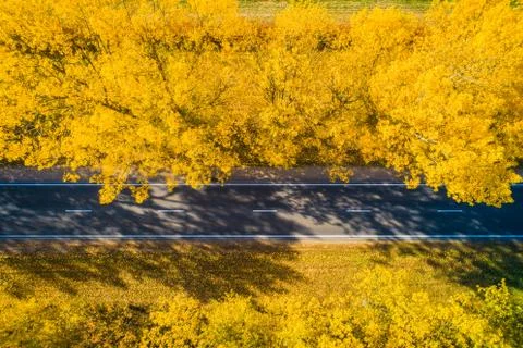 Fall. Road. Stock Photos