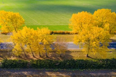 Fall road Foto stock