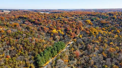 Fall Road Stockfoto's