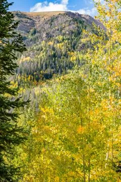 Fall Rockies Stock Photos