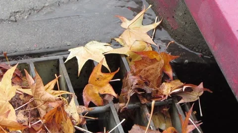 Fall Runoff going down the drain Stockbeeldmateriaal 44284057