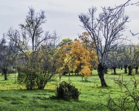 Fall rural scene Stock Photos
