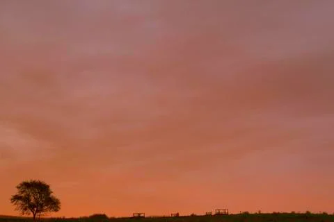 Fall rural sunset. Stock Photos