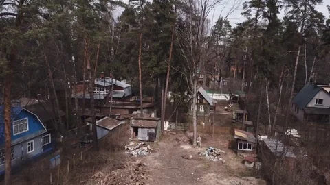 Fall of sawn oak Stock Footage 122588928