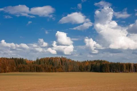 Fall in scandinavia Stock Photos