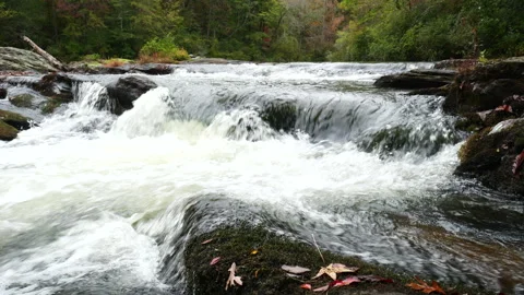 Fall scene of free flowing mountain stream Stock-Footage 319477784